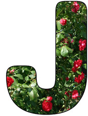 Deko-Buchstaben-Blumen_J.jpg